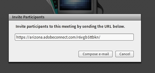 Screenshot: Send the link in the text box of the pop-up to your guests